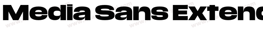 Media Sans Extended Bold字体转换